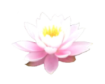 single-image